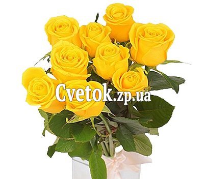 9 желтых роз