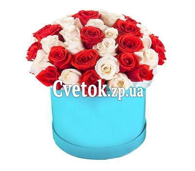 White and red roses in a round box