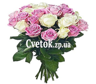 25 белых и розовых роз