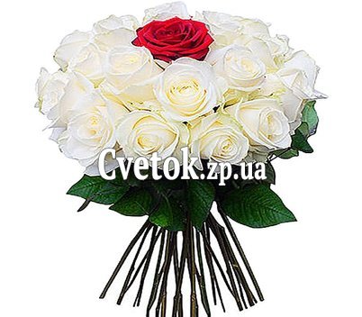 24 белых розы и 1 красная