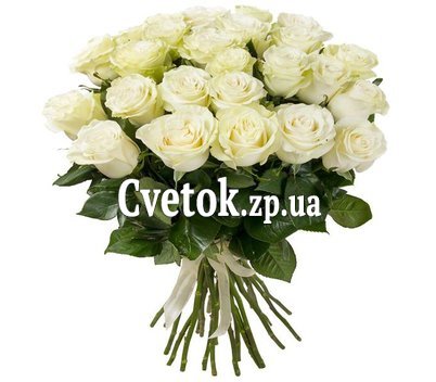 Белые розы импорт