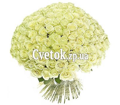 Большой букет из 101 белой розы