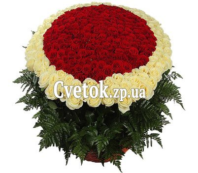 Букет 1000 (1001) роз