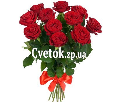 11 красных роз