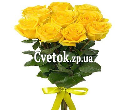 11 желтых роз