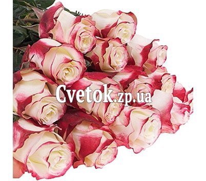 Bouquet 19 roses Sweetness (Sweetness)