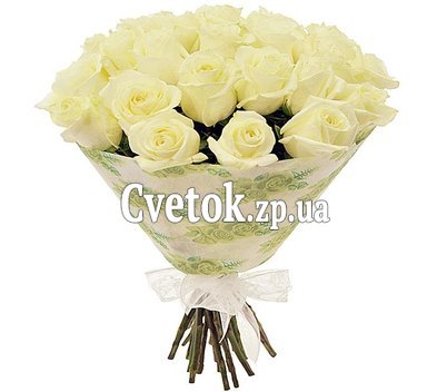 25 белых роз
