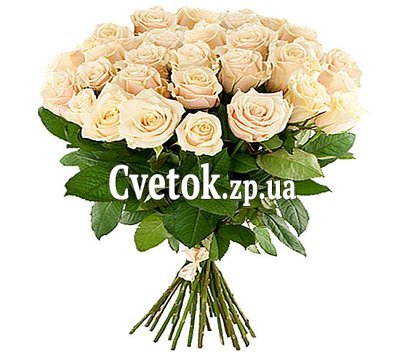 25 кремовых роз