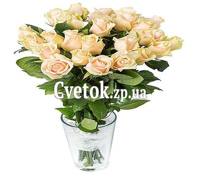 25 кремовых роз