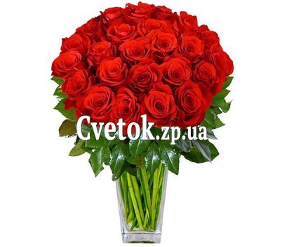25 красных роз