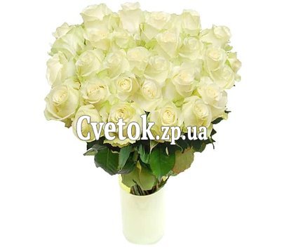 35 белых роз