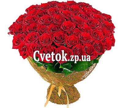 61 красная роза