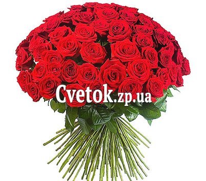 65 красных роз