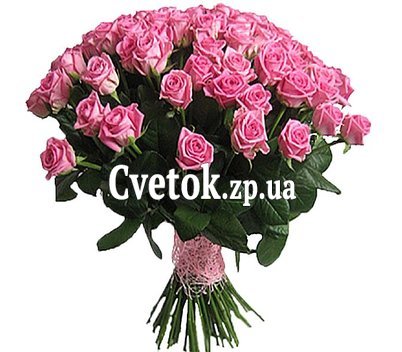 65 розовых роз