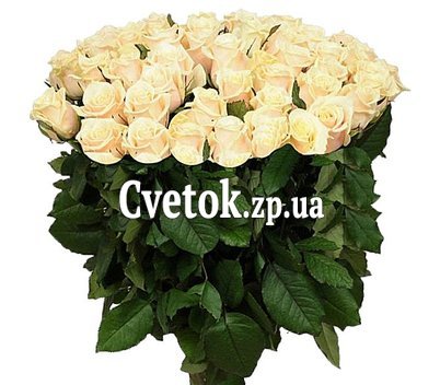 Букет 75 белых роз