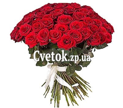 39 красных роз