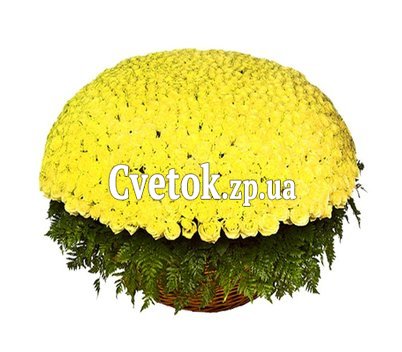 Букет из 1001 желтой розы