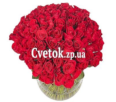 Букет из 101 эквадорской розы