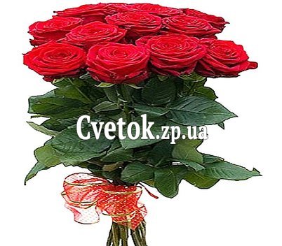 11 красных роз