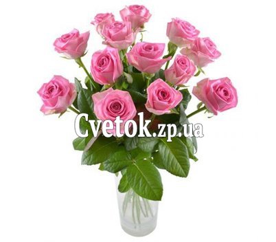 13 розовых роз