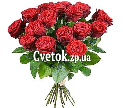 17 красных роз