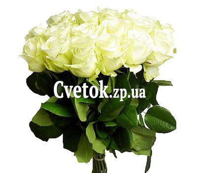 17 белых роз