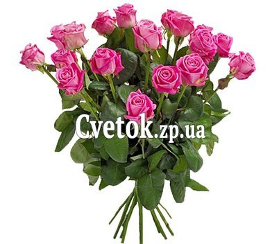 17 розовых роз
