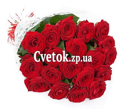 19 красных роз