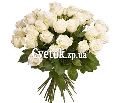 21 белая роза
