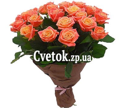21 роза мисс пигги