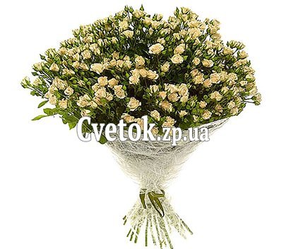 Букет из 31 кустовой розы