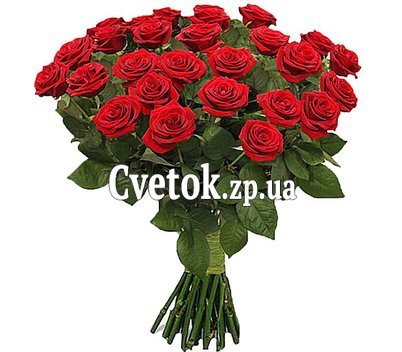33 красные розы