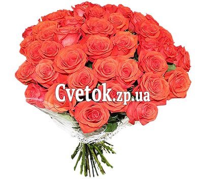 37 оранжевых роз