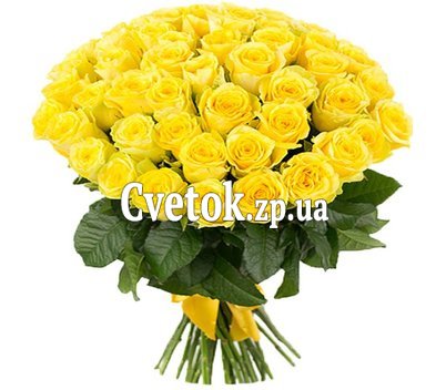 41 желтая роза