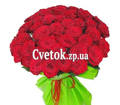 47 красных роз