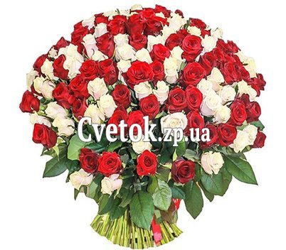 Букет из 501 розы