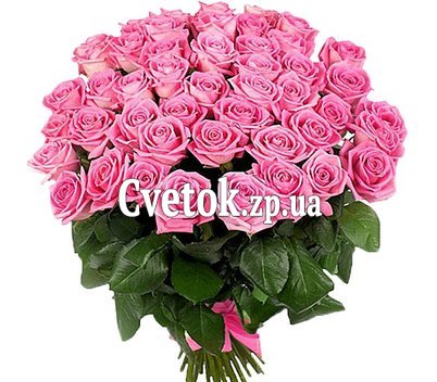 Букет из 51 розовой розы