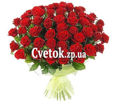 Букет из 55 алых роз