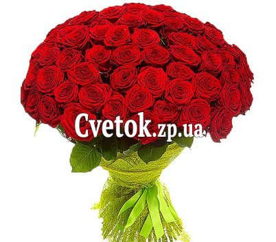 55 красных роз