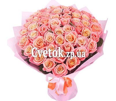 55 роз мисс пигги
