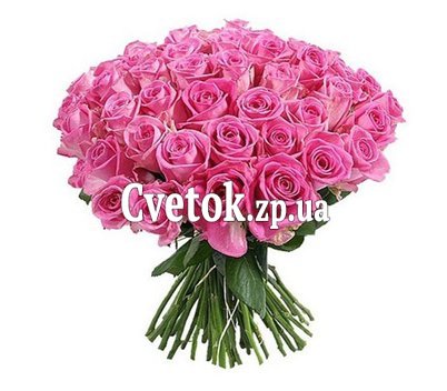 55 розовых роз