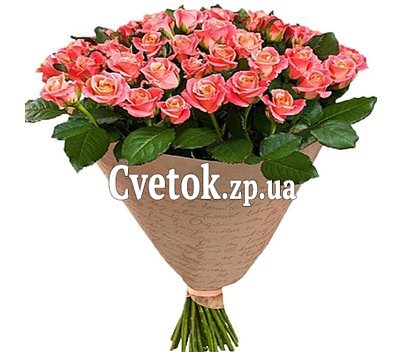 61 роза мисс пигги