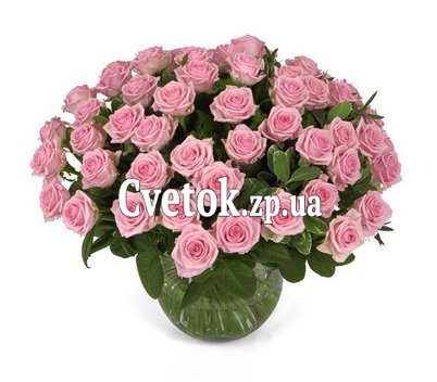 75 розовых роз