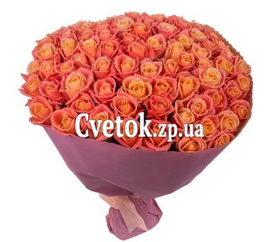 75 роз мисс пигги