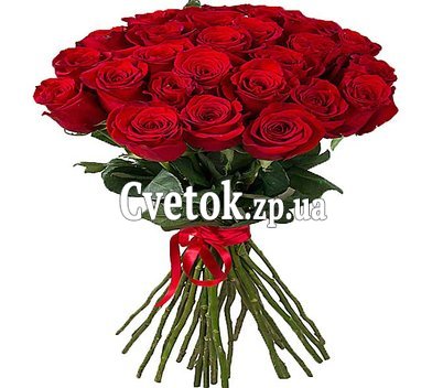 Букет из эквадорских роз