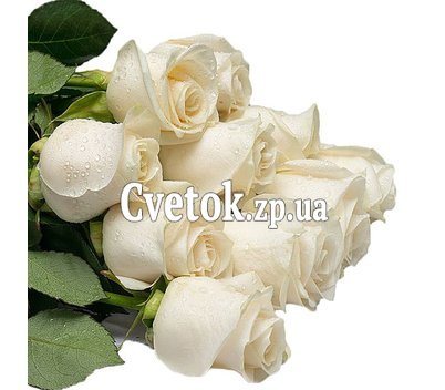 Букет из импортных белых роз