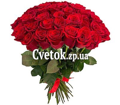 Bouquet of red Dutch roses