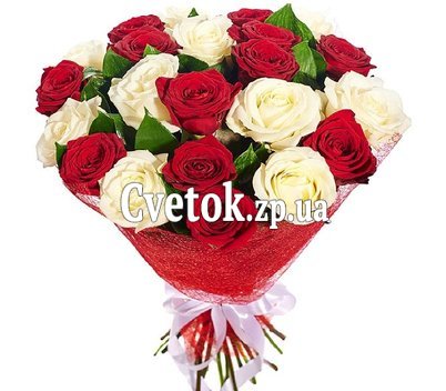 25 красных и белых роз