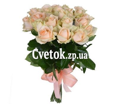 19 кремовых роз