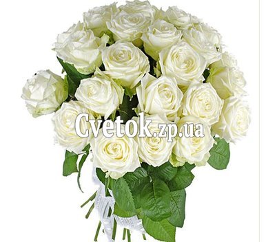 27 белых роз